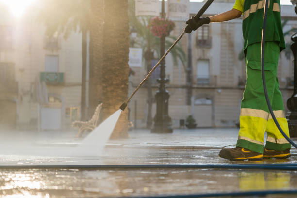 Best Fleet Vehicle Washing  in Weidman, MI